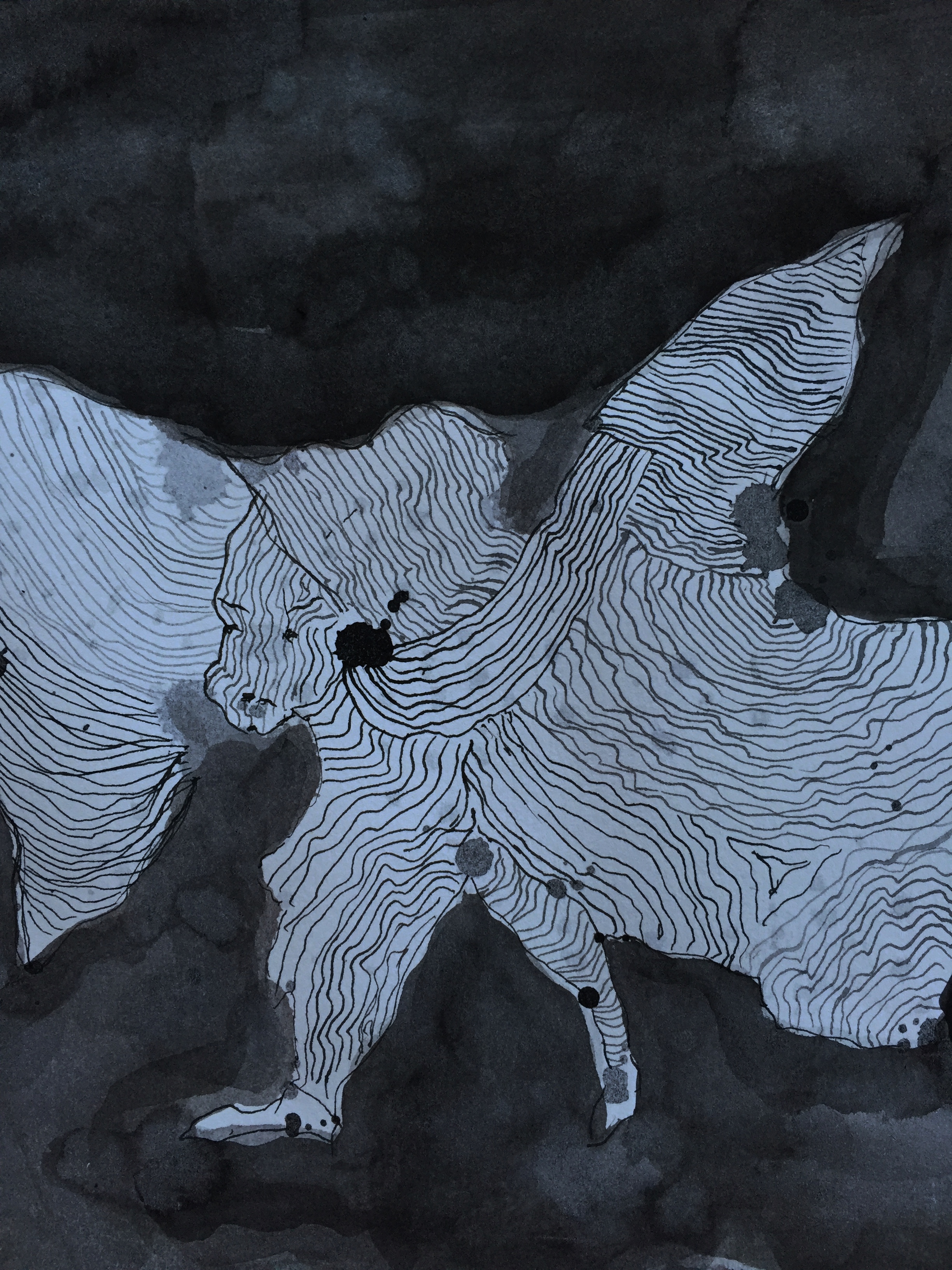 IMG_4996 Zoraida Anaya_fumage and Indian ink on paper