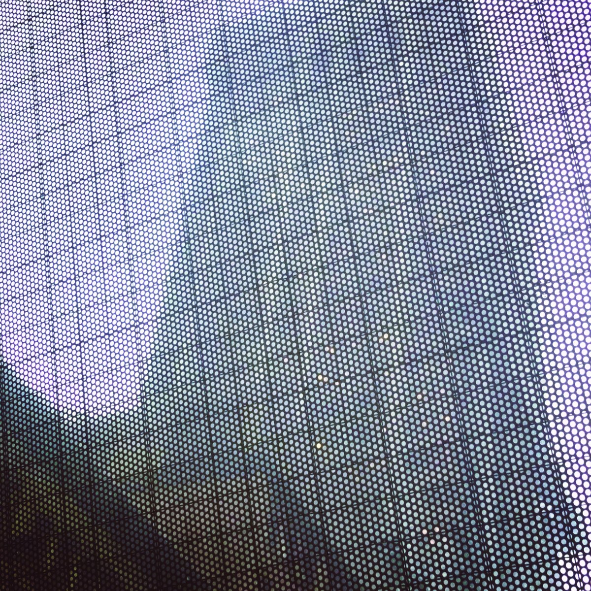 Martin Everald Interview